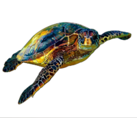 Claudia Kaase - hawksbill sea turtle