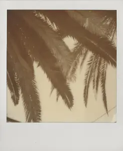 La Palma von Karin Pietzka
