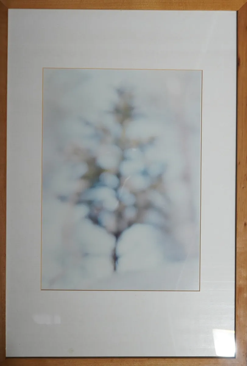 Tanne, Finnland 1993 - Irma Jeckel