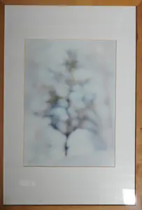 Tanne, Finnland 1993 von Irma Jeckel