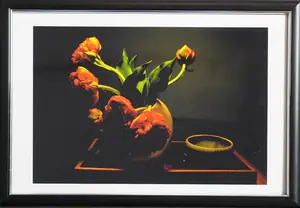 Tulipan von Klaus Mroß