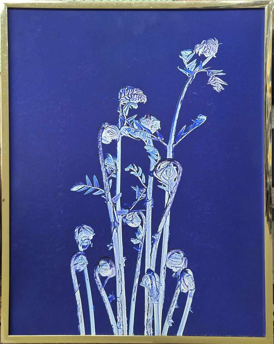Geigenköpfe (blau) - Felix Freier